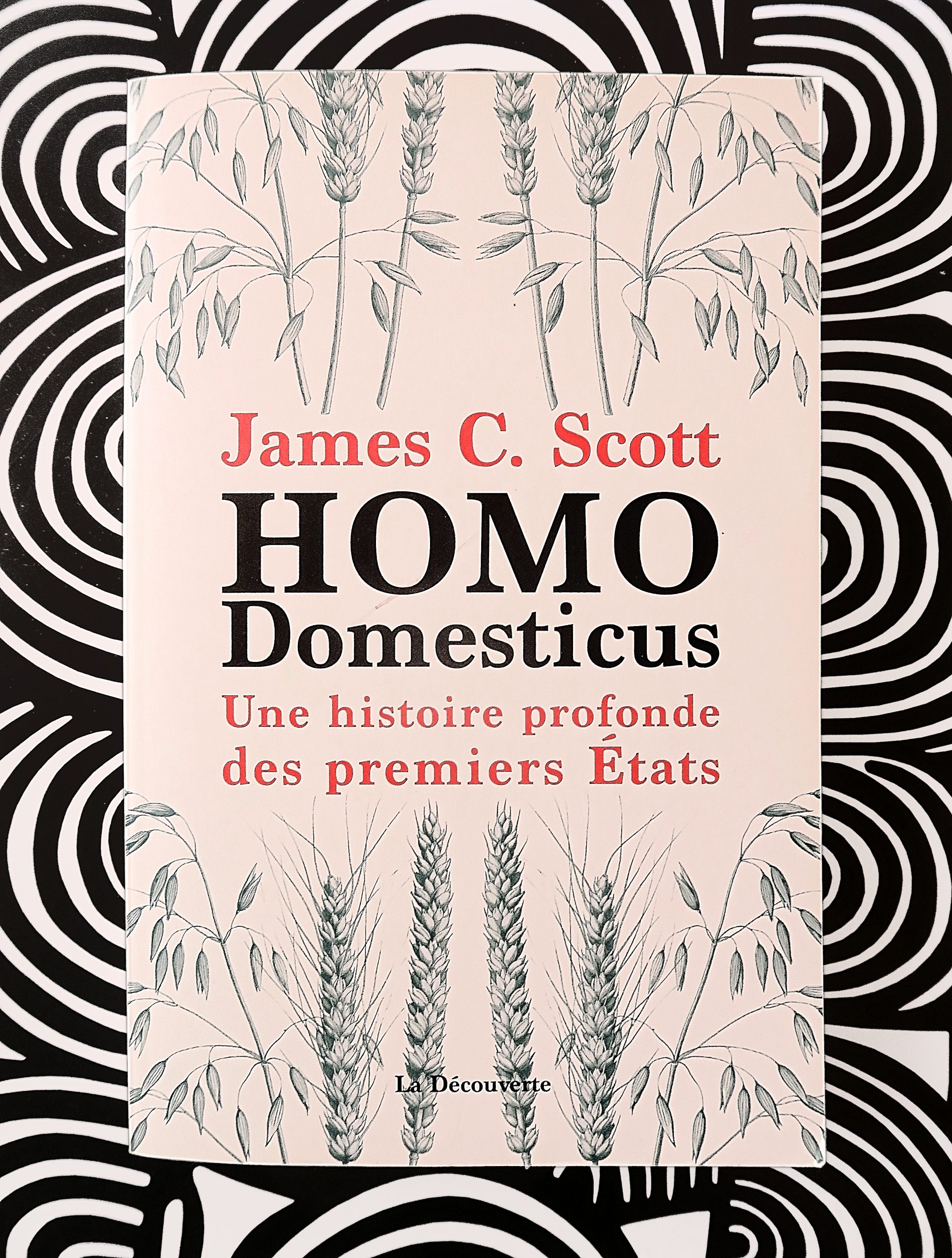 Homo Domesticus recto
